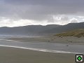 thn_Steward Island 022.jpg